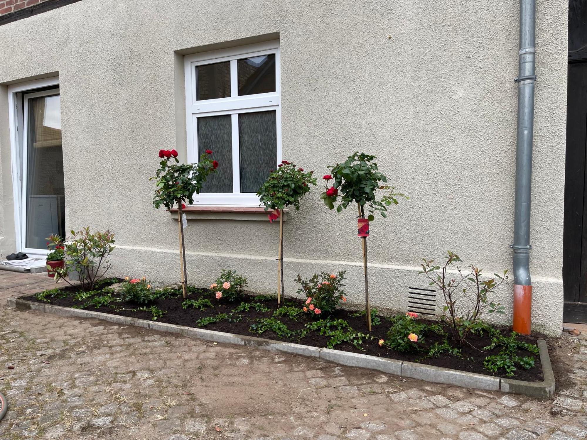 Apartmán Hofquartier Schwerin Schwerin  Exteriér fotografie